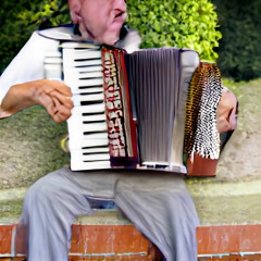 Nostalgique Accordion - A.Astier