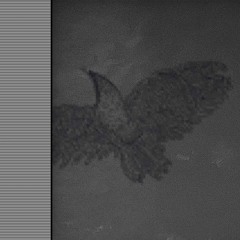 色違い 合法暴力20̸0̸0̸ prod. 蝦夷響打