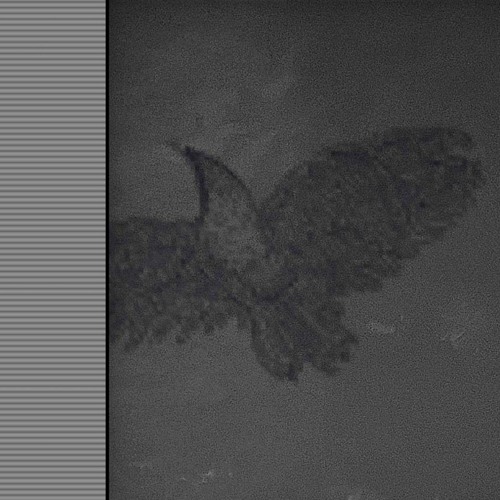 色違い 合法暴力20̸0̸0̸ prod. 蝦夷響打