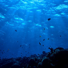 In 2 Deep (Twitch Set 31/7/2021)