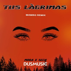 Tus Lagrimas - Mora Ft Sech (dusmusic) [Mambo Remix] 🐻