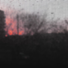 noteaf - Probably Never