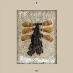 Nouvelle rive gauche (SoundCloud Edit)