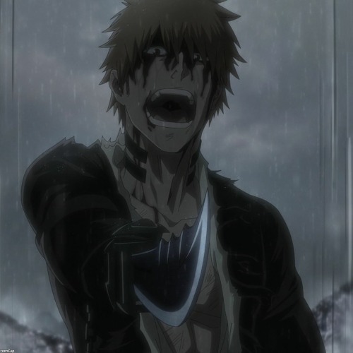 Ichigo And His Lost Partner Mqx - Phoenix