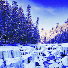 Winter Light On Morning Snow