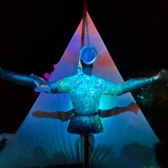 Sauerkrautstampfer hardgroove Aktion 2024