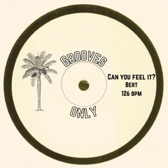 GroovesOnly - Can You Feel It? - (Bert Edit)