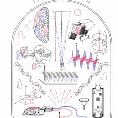 Oscillations