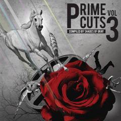 Into the Wild (Peter Horrevorts Big Five remix)