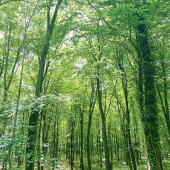 the key to life on earth - declan mckenna voice note cover