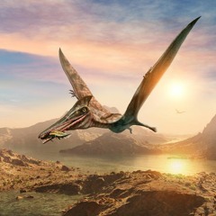 Bird song