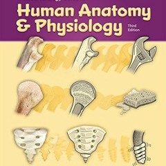 View EBOOK EPUB KINDLE PDF A Visual Analogy Guide to Human Anatomy & Physiology, 3e b