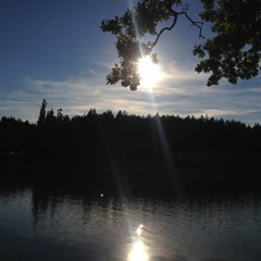 Shaggys - Ocean - Surprise