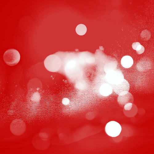 Receiving An Offering of Roses