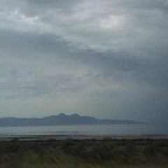 Chapter Excerpt No.8