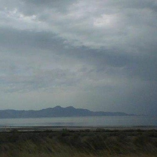 Chapter Excerpt No.8