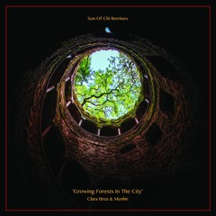 Clara Brea & Menhir - Growing Forests In The City Part One