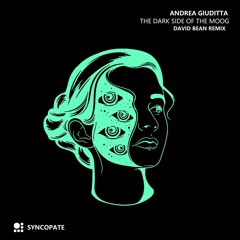 The Darkside of the Moog (David Bean Remix)