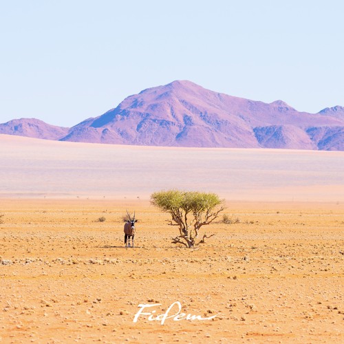 Fidem Community - One Five