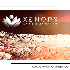 Xenops Live! @ LMG 6. 17. 2023 - Organic & Progressive House