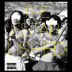 SAINT PABLO x 223MERSO - THE ESTABLISHED