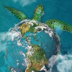 turtle island revolution prod shuno