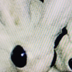 Dreamville (prod.daysix)