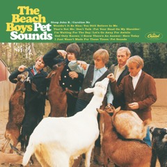 The Beach Boys - Wouldn't It Be Nice Instrumental