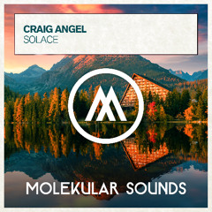 Craig Angel - Solace