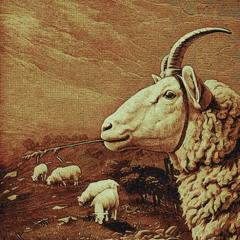 Коца - Помощь