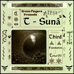 T - Sunâ Presents: Third Foundation Guest Mix