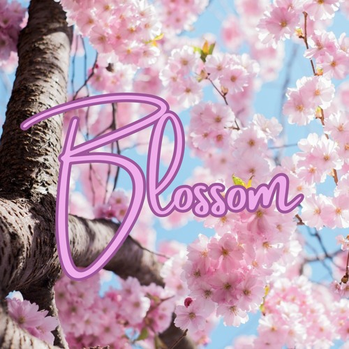 Blossom