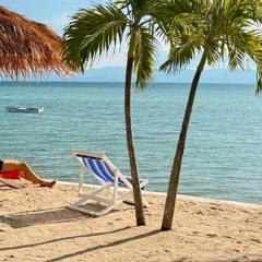 Tribel trance dance experience live set