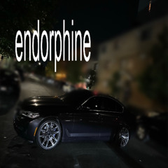 endorphine remix