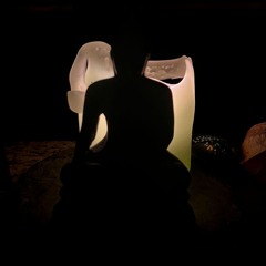 We Will Not Bow Down To - Destraction Denial And Inertia