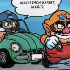 Wario Man Garlic Network 6 - Windflower Field