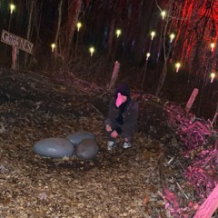 1130 (MY MISERY HATES COMPANY)