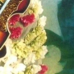 She wrote home (Rough Home Demo)