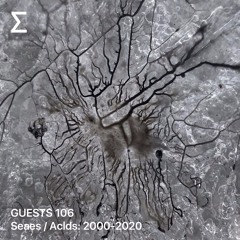 GUESTS 106 – Seaes / Aclds: 2000-2020