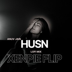 Anuv Jain - HUSN (Lofi Mix) | XENPIE