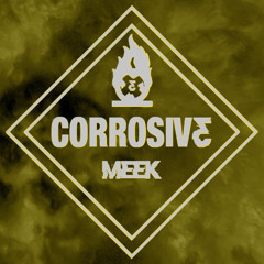 CORROSIVE ⁰¹ .ᐟ.ᐟ Meek