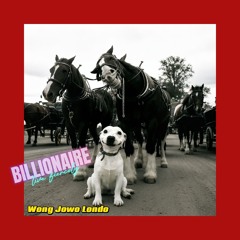 BILLIONAIRE 2025  ( WJLcover)