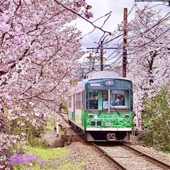 CHRISSY - JAPAN PROD.L0K0