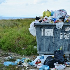 Trashed