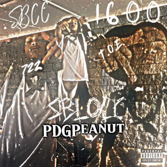 Ride Or Die [ FULL ALBUM ]