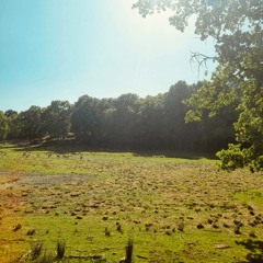 dirt & soil (m1sugo x irby)