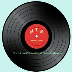 Once In A Lifetime(MTM Feat.Winkandwoo)