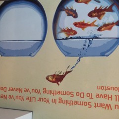 compo20221002 (Audaz)