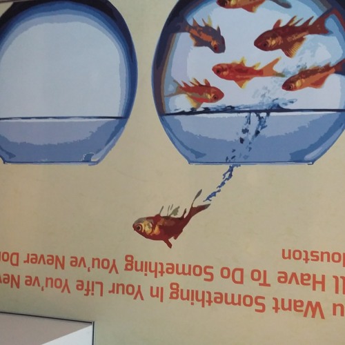 compo20221002 (Audaz)