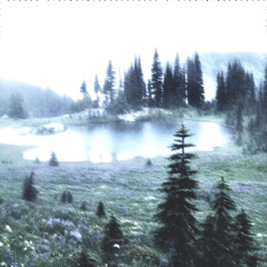 наверно p/ leankey